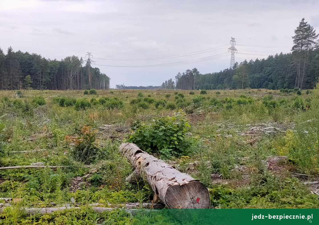 WYDANIE NA WEEKEND | Dłuższe S61, szersza S17, utrudnienia na A1 i DK1